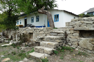 Заповідник Буша
